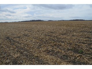 Property photo 22 - LAND AUCTION - 276.5+/- ACRES OFFERED IN 5 TRACTS IN EAST ALLEN COUNTY